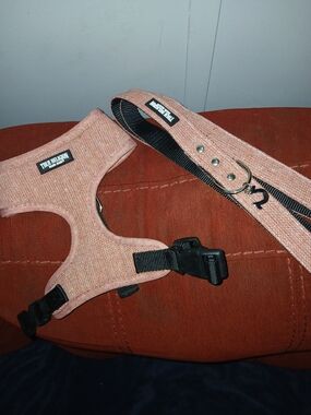 True Religion Pink Peach Dog Harness and Leash Set